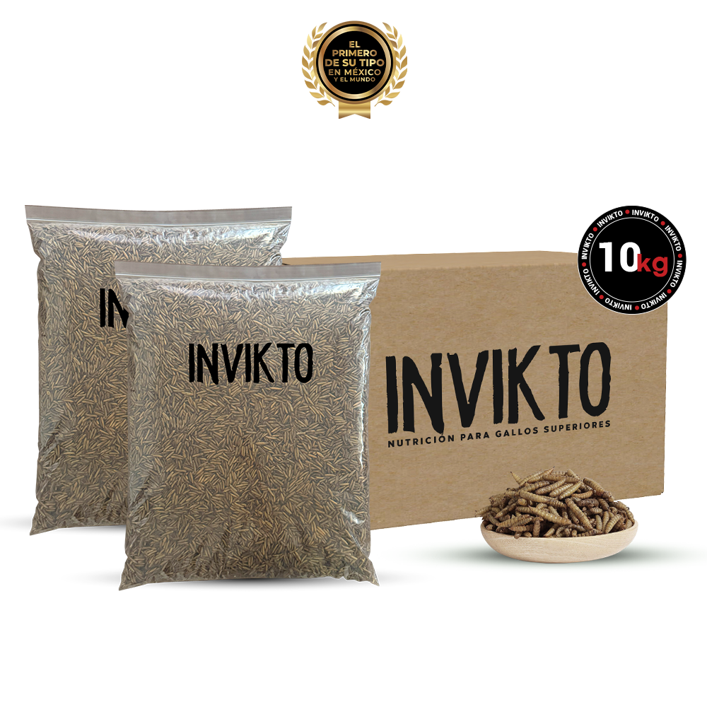 INVIKTO • 10 KG