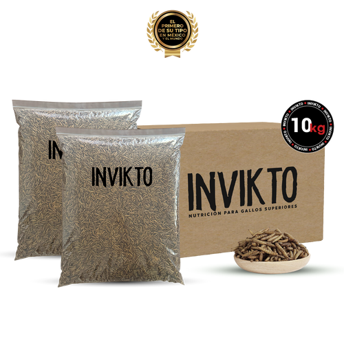 INVIKTO • 10 KG
