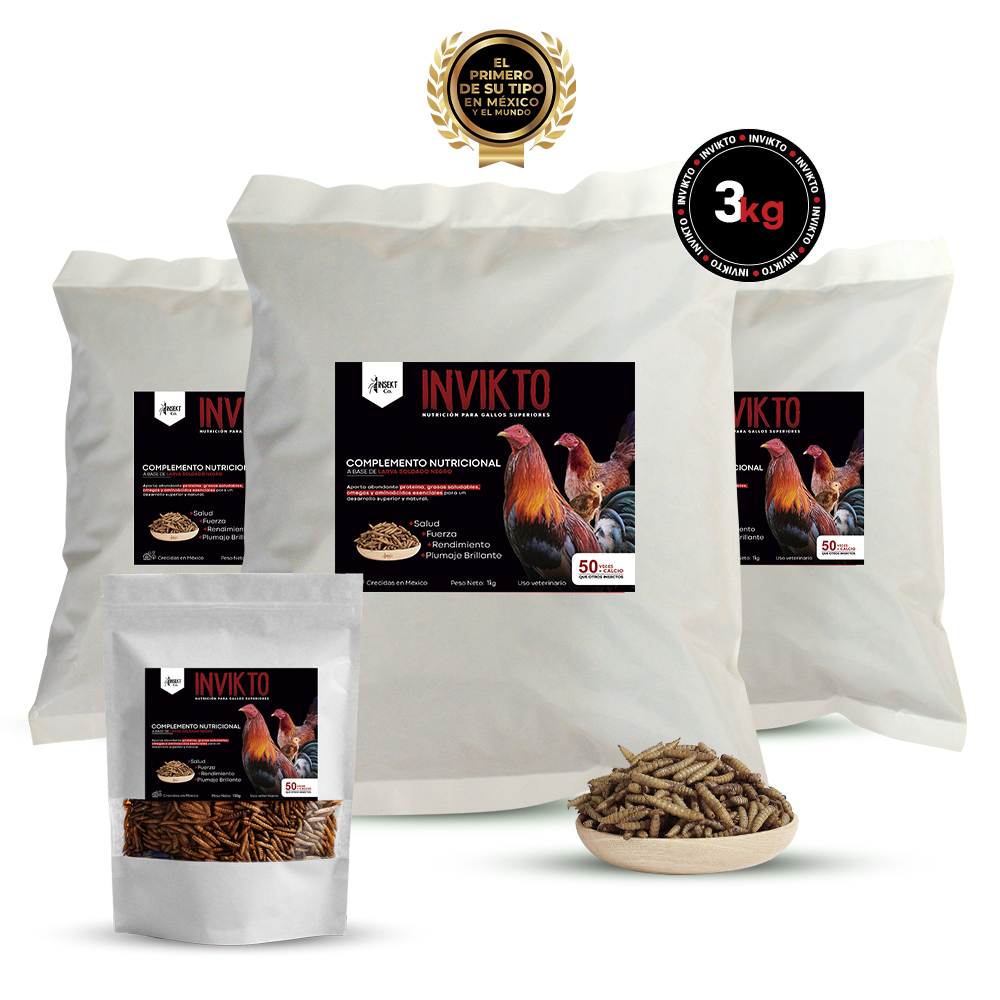 INVIKTO • 3 KG + 1 PZ DE 150G