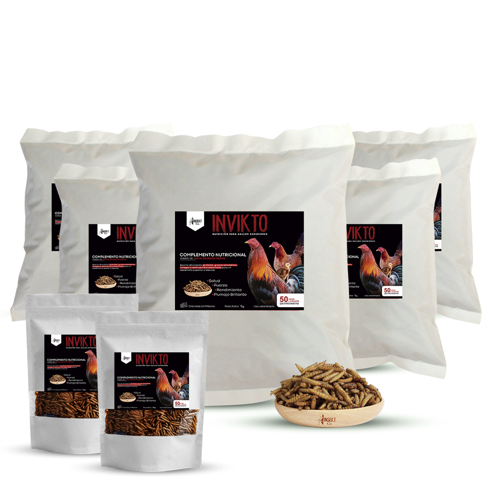 INVIKTO • 5 KG + 2 PZ DE 150G