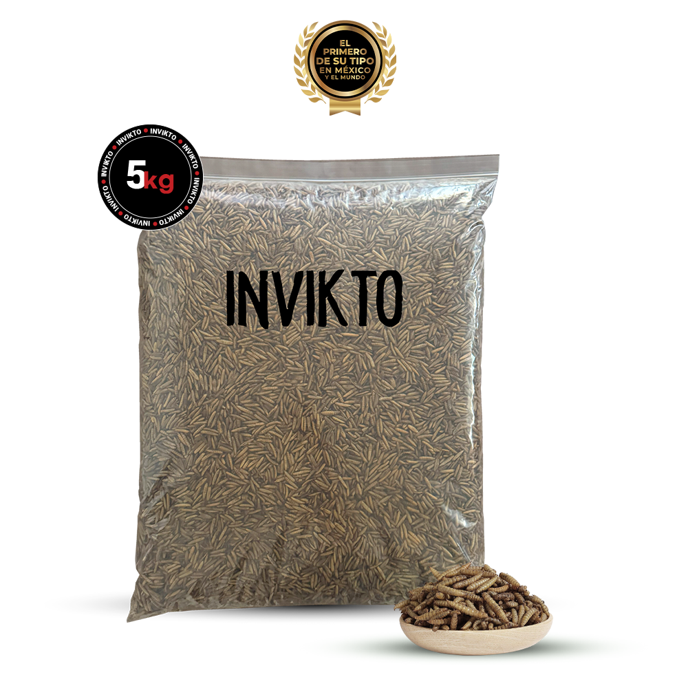INVIKTO • 5 KG