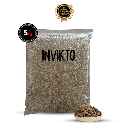 INVIKTO • 5 KG
