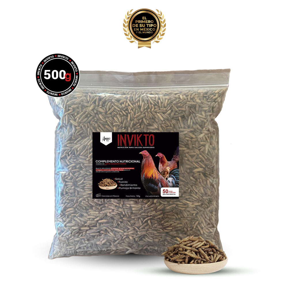INVIKTO • 500G